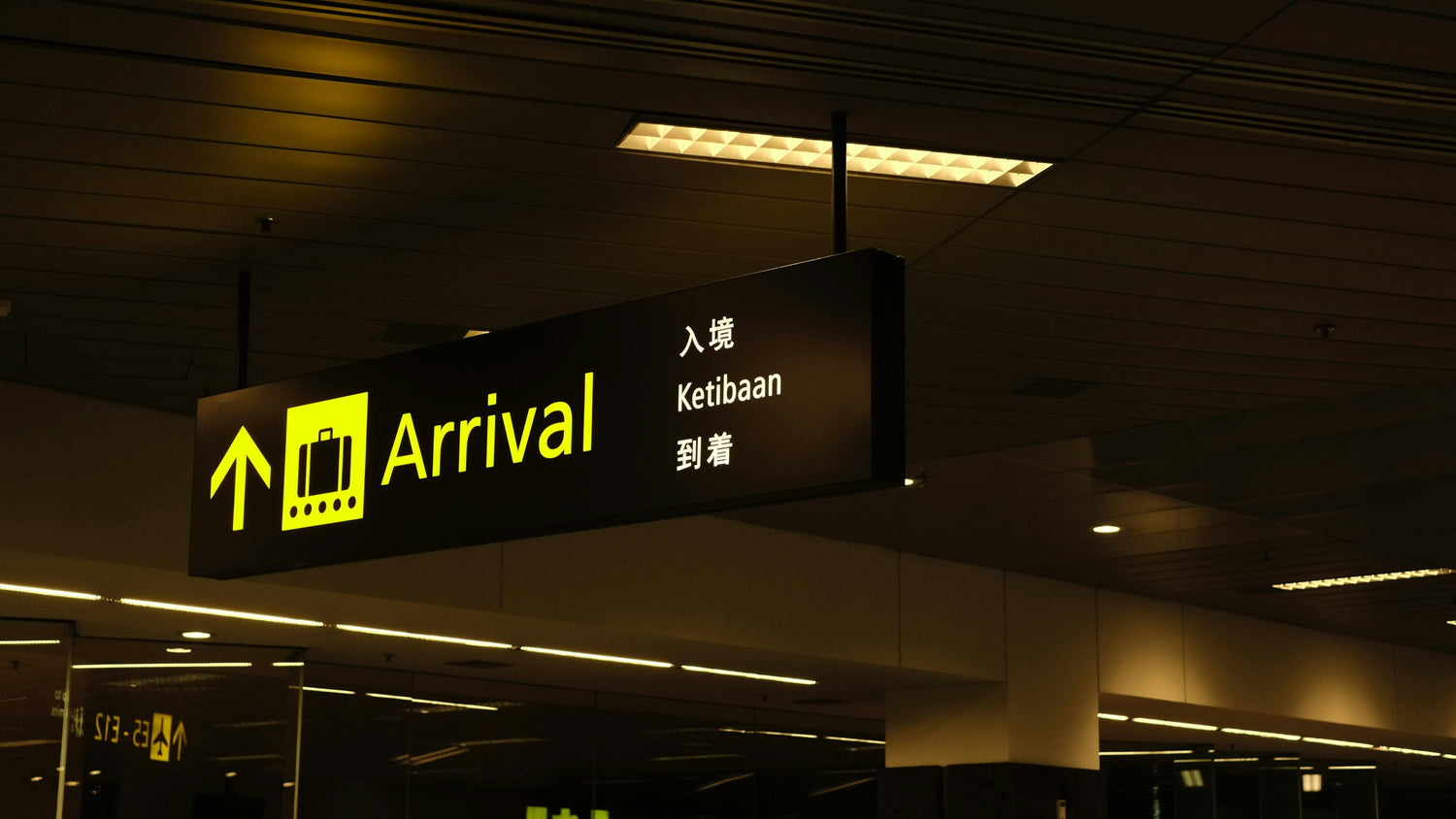 Stop Overweight Fees: The Essential Guide to Digital Luggage Scales