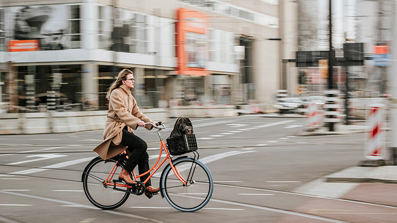 Daily Commute