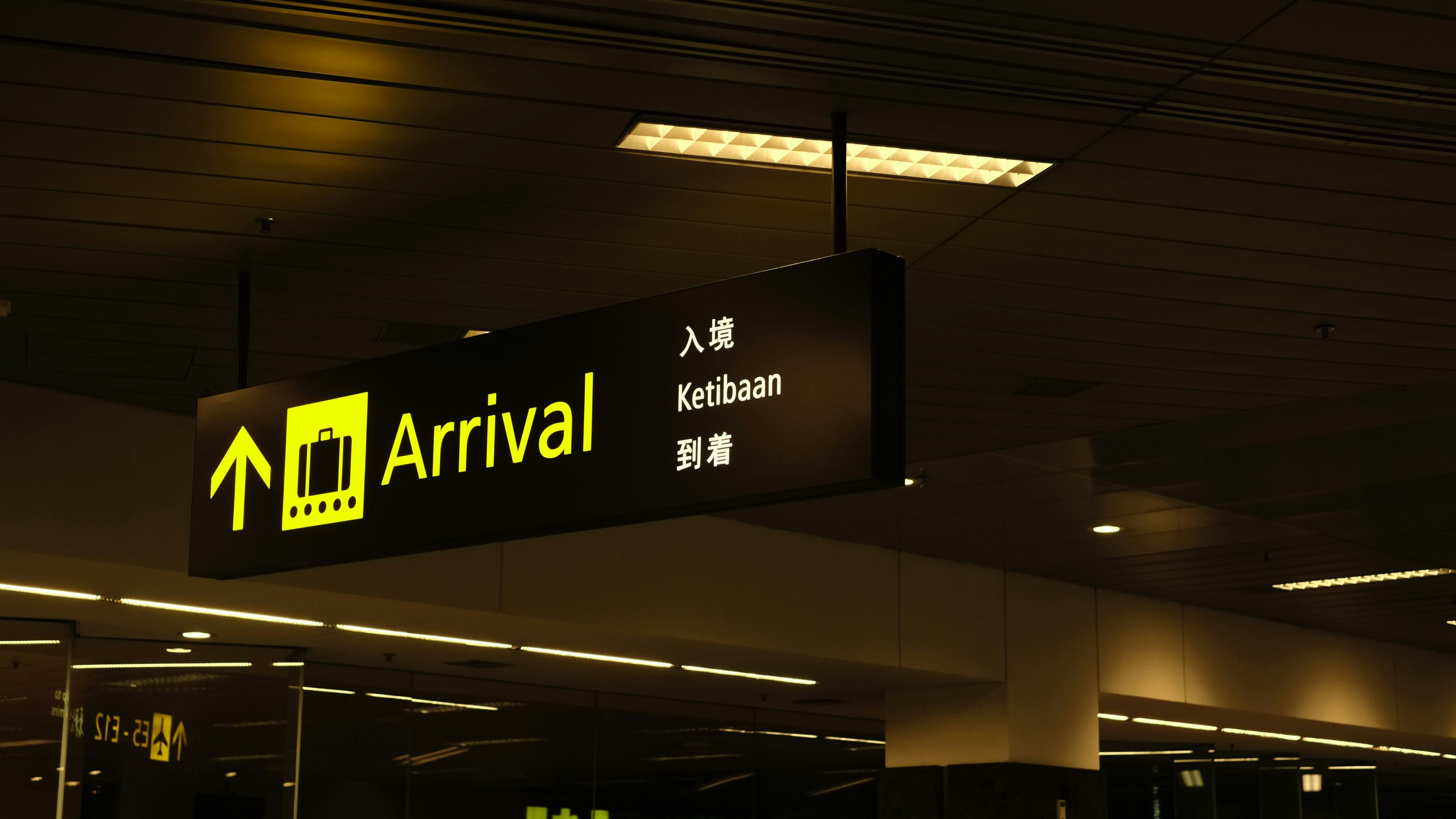 Stop Overweight Fees: The Essential Guide to Digital Luggage Scales